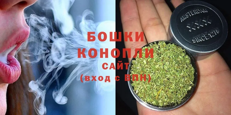 купить наркотики цена  Переславль-Залесский  Бошки Шишки OG Kush 